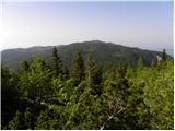 Kraljev hrib - Planina Rzenik